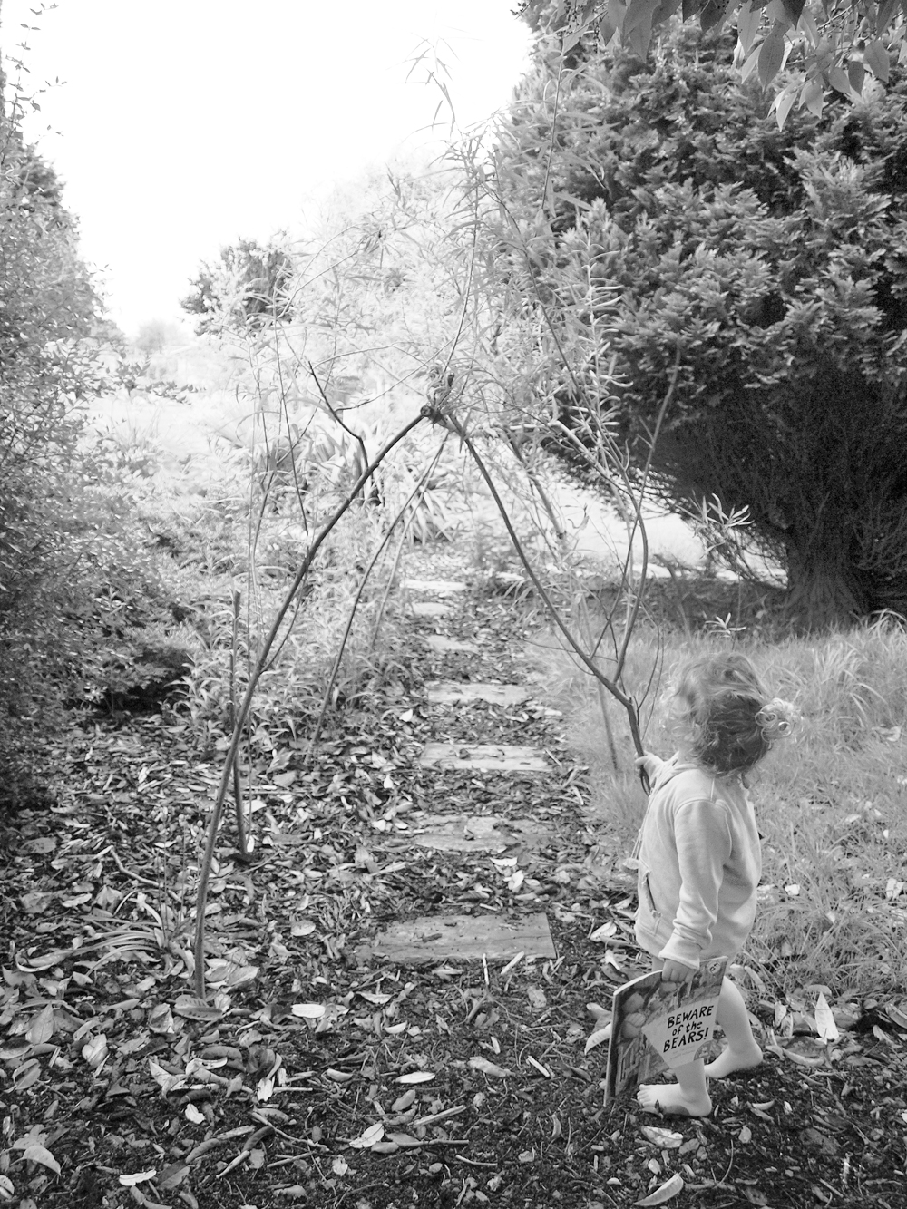 English Country Garden Photo Shoot – shot by Lyssandra Rutherford