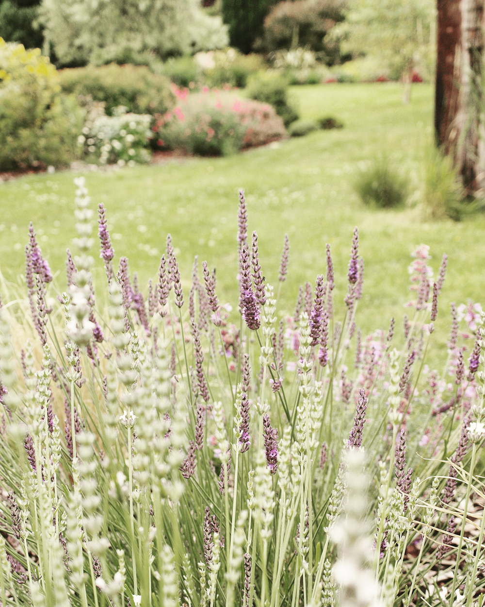 English Country Garden Photo Shoot – shot by Lyssandra Rutherford