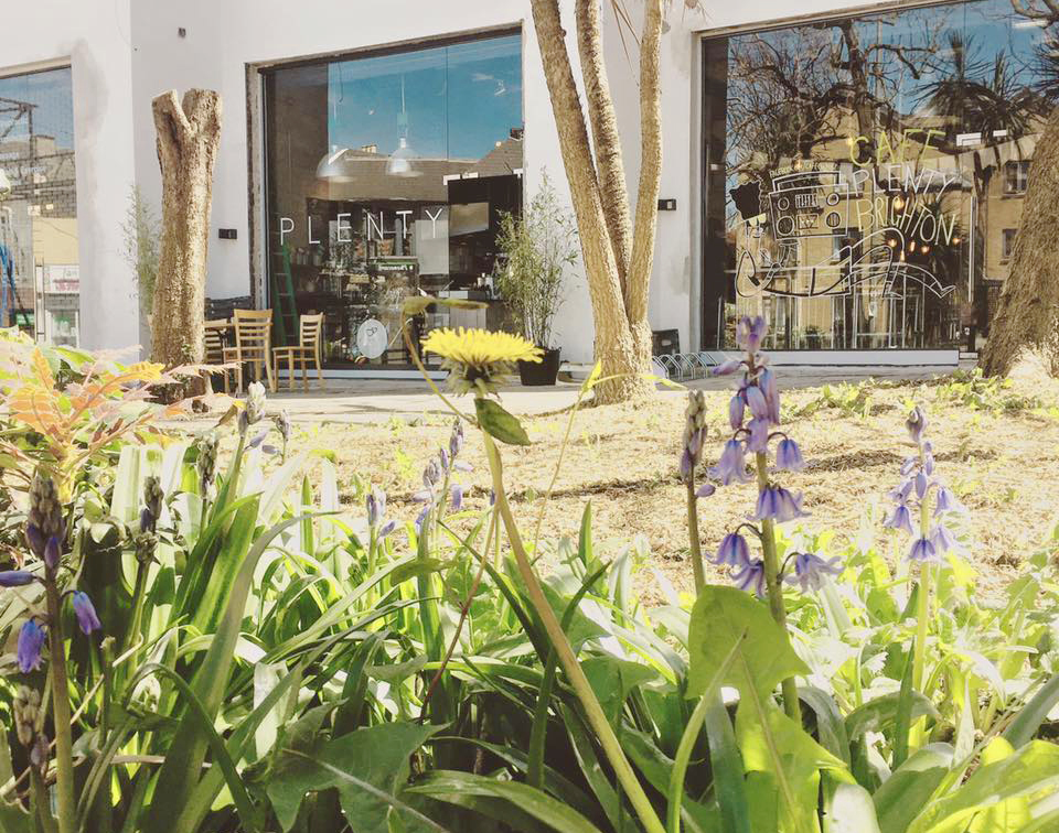 CAFE PLENTY BRIGHTON